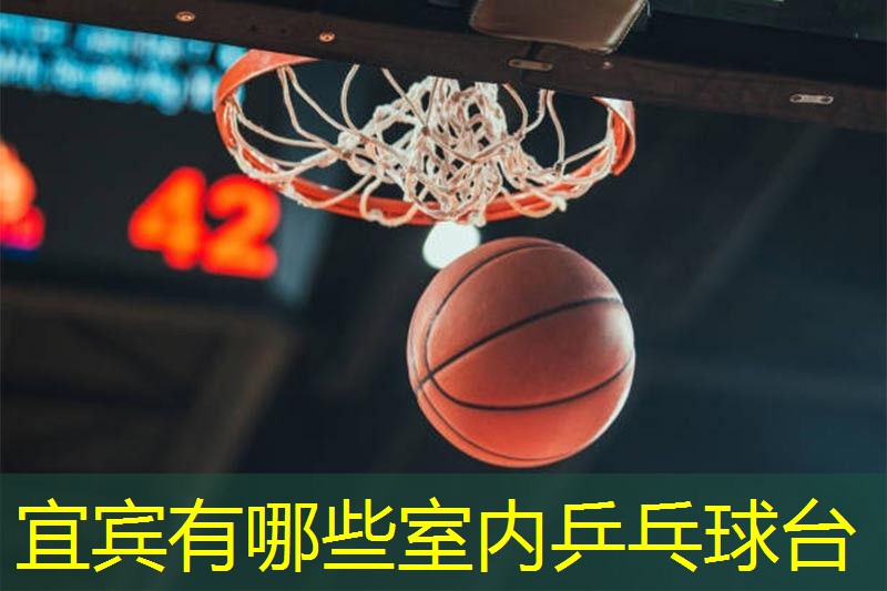 宜宾有哪些室内乒乓球台
