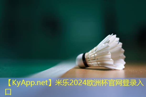 室内楼梯健身踏板
