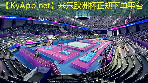米乐公司:乒乓球台旧物改造