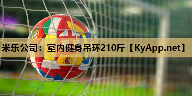 米乐公司:室内健身吊环210斤