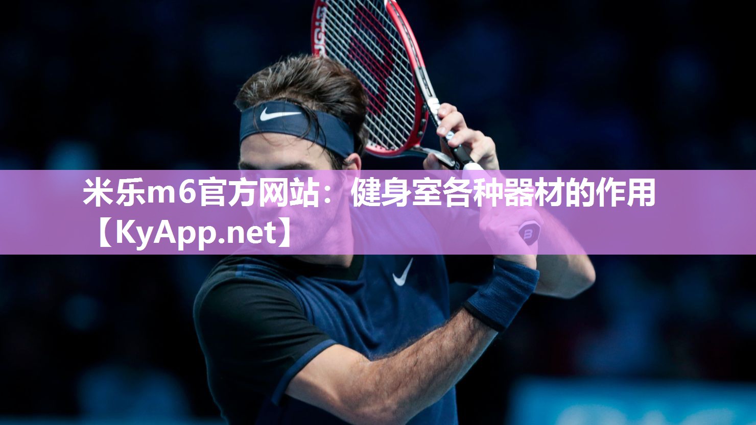 米乐m6官方网站:健身室各种器材的作用