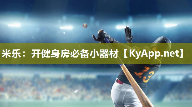 米乐:开健身房必备小器材