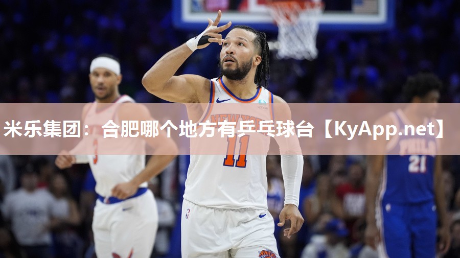 米乐集团:合肥哪个地方有乒乓球台