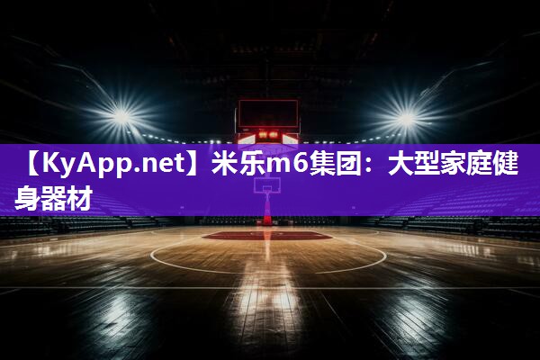 米乐m6集团:大型家庭健身器材