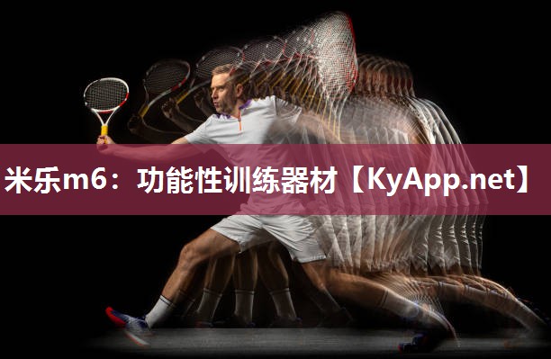米乐m6:功能性训练器材