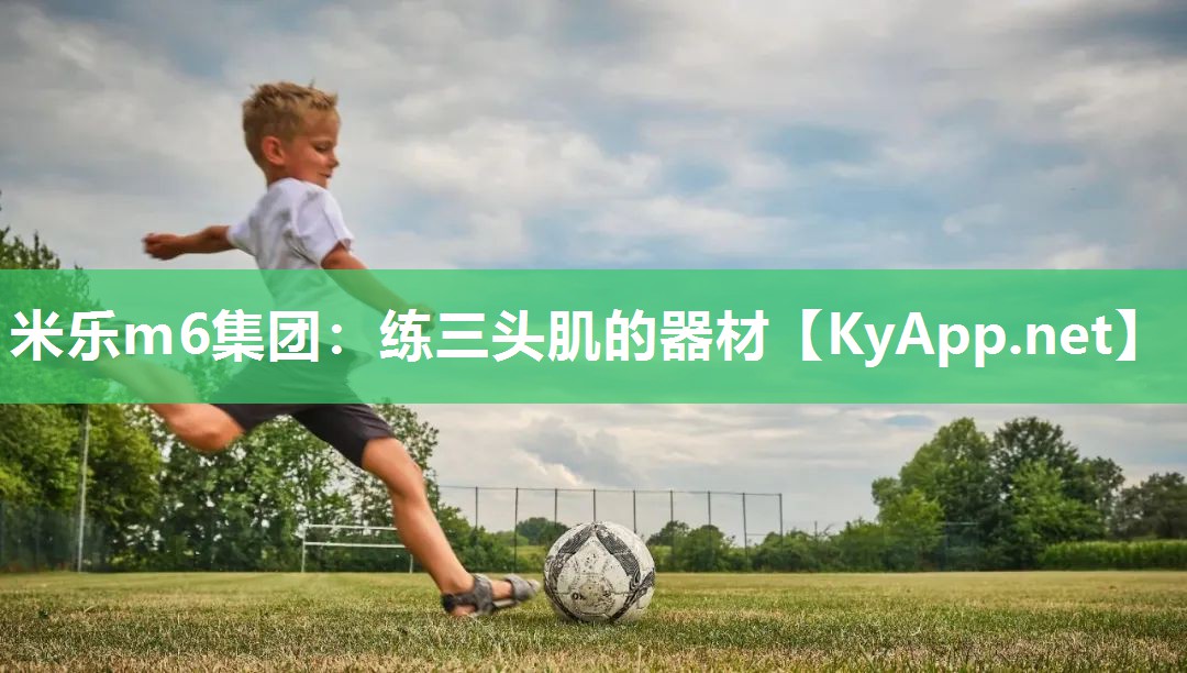 米乐m6集团:练三头肌的器材