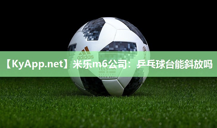 米乐m6公司:乒乓球台能斜放吗