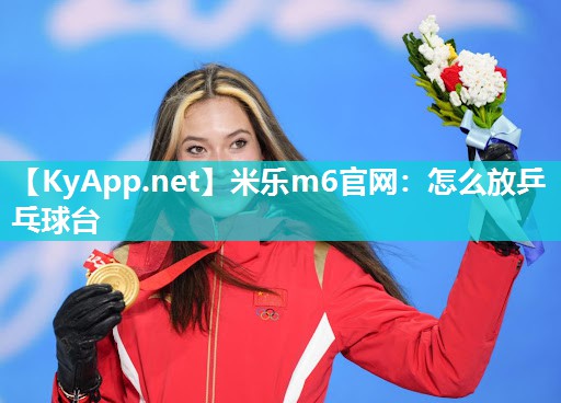 米乐m6官网:怎么放乒乓球台