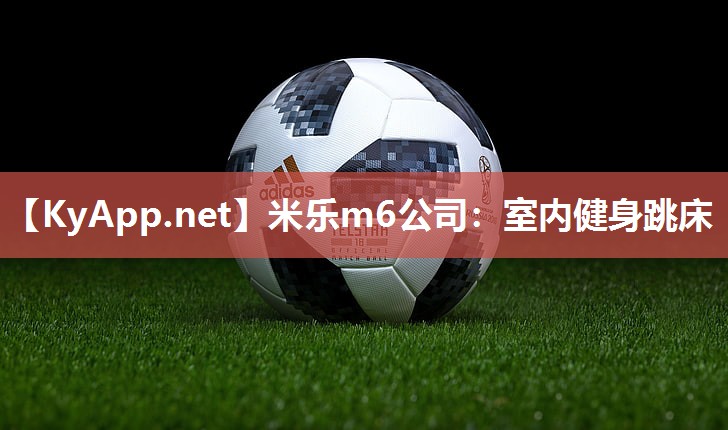 米乐m6公司:室内健身跳床