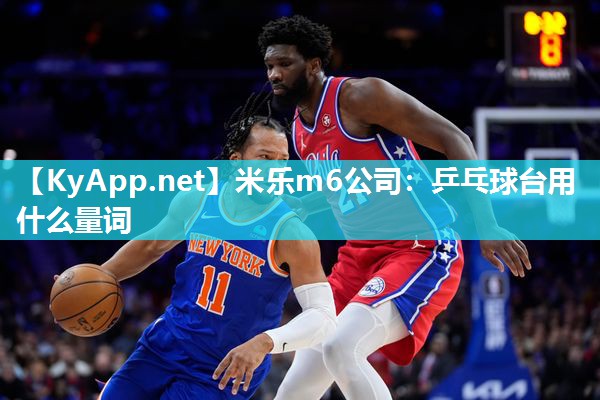 米乐m6公司:乒乓球台用什么量词