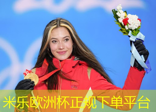 健身环大冒险室内