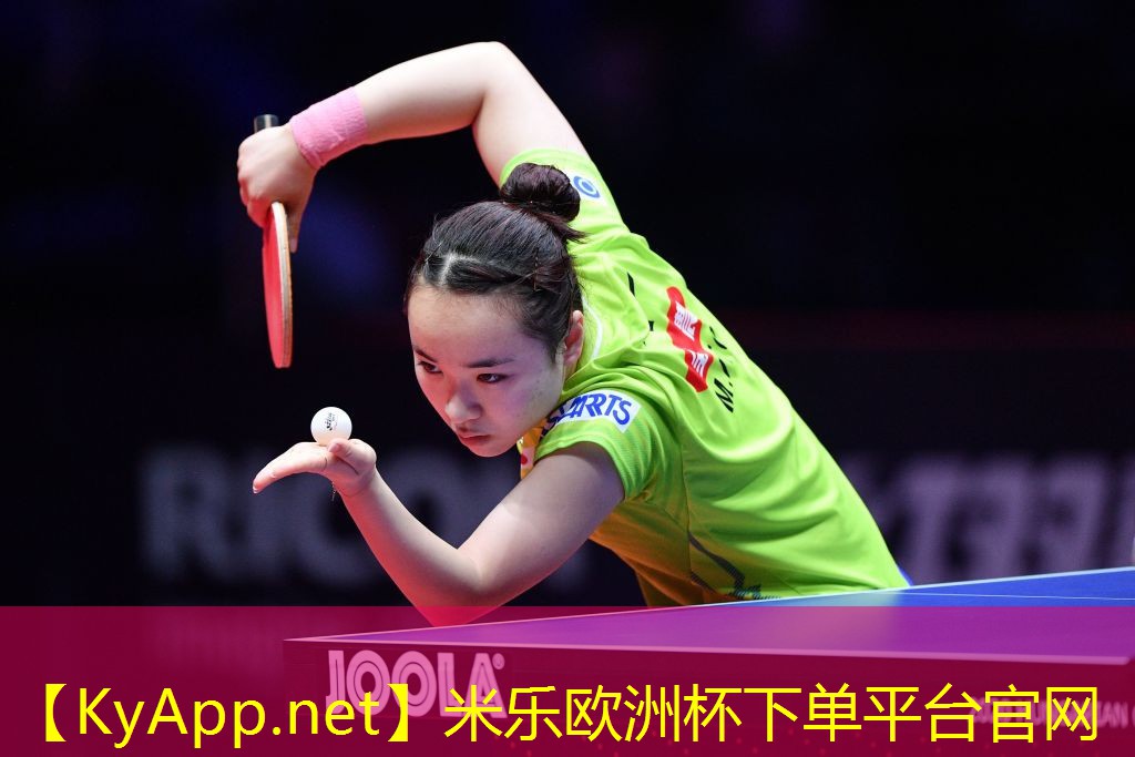 乒乓球台桌面级别