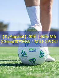 乒乓球台新材料是什么