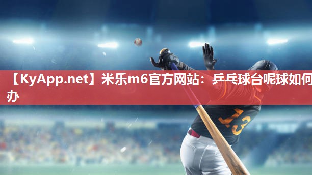 乒乓球台呢球如何办