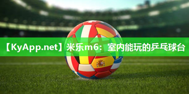 室内能玩的乒乓球台