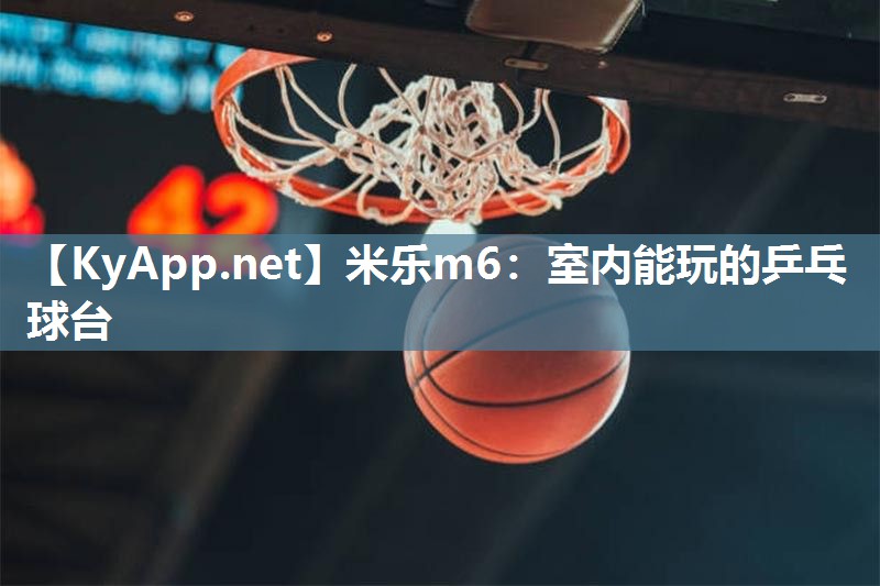 室内能玩的乒乓球台