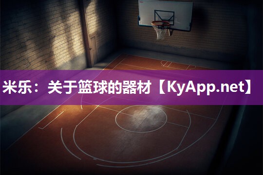 关于篮球的器材