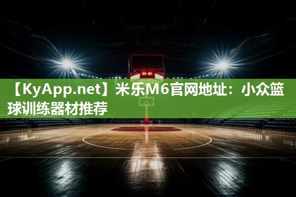 小众篮球训练器材推荐