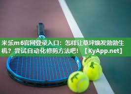 怎样让草坪焕发勃勃生机？尝试自动化修剪方法吧！