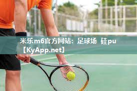 足球场 硅pu