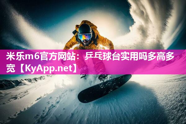 乒乓球台实用吗多高多宽