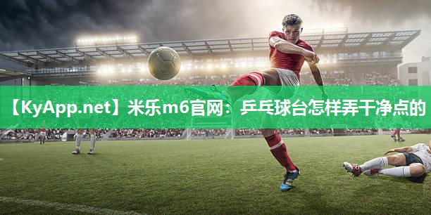 乒乓球台怎样弄干净点的