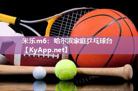 哈尔滨家庭乒乓球台