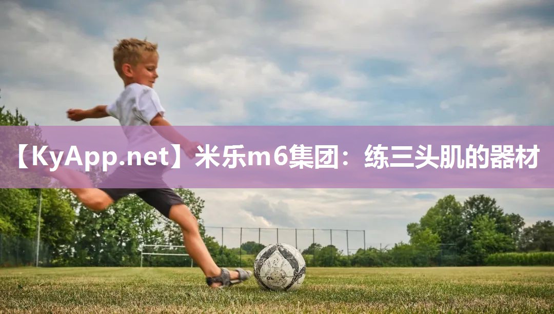 练三头肌的器材