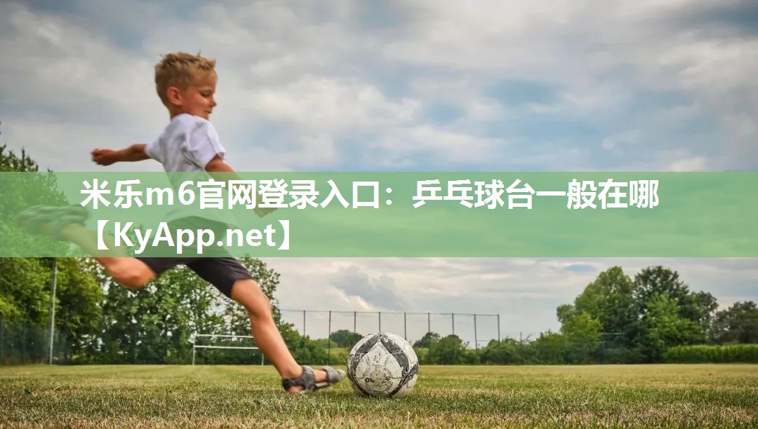 乒乓球台一般在哪