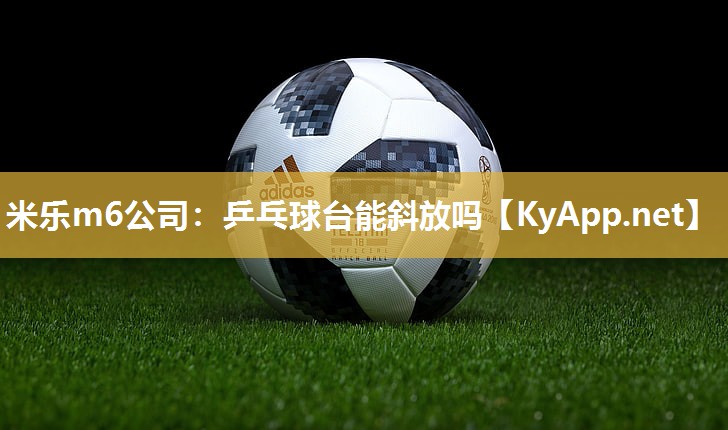 乒乓球台能斜放吗