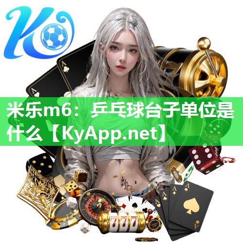 乒乓球台子单位是什么