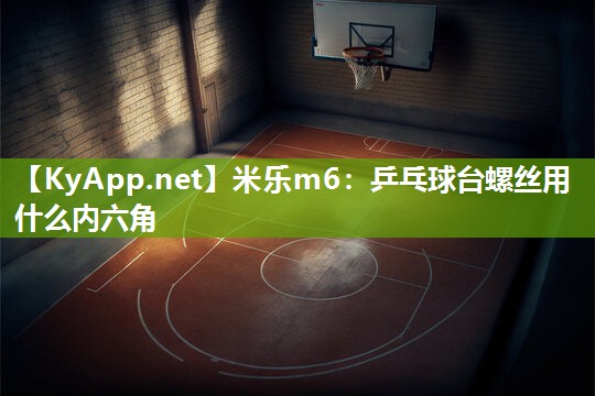 乒乓球台螺丝用什么内六角