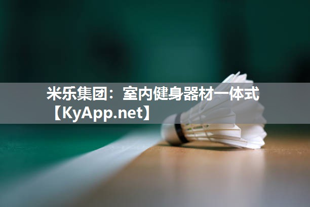室内健身器材一体式