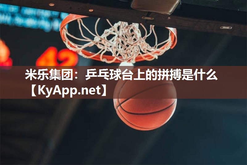 乒乓球台上的拼搏是什么