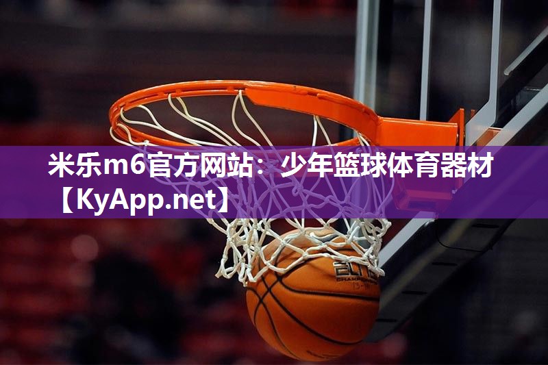 少年篮球体育器材