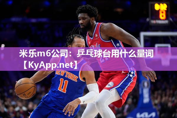 乒乓球台用什么量词