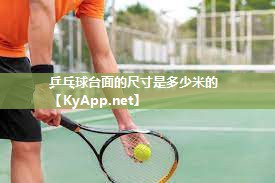 乒乓球台面的尺寸是多少米的