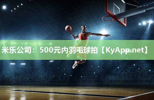 500元内羽毛球拍