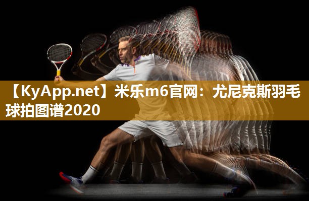 尤尼克斯羽毛球拍图谱2020
