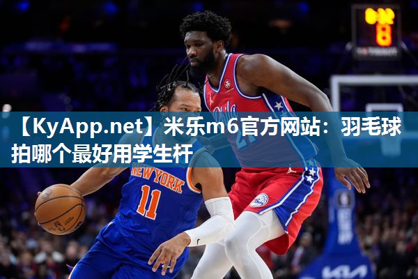 羽毛球拍哪个最好用学生杆