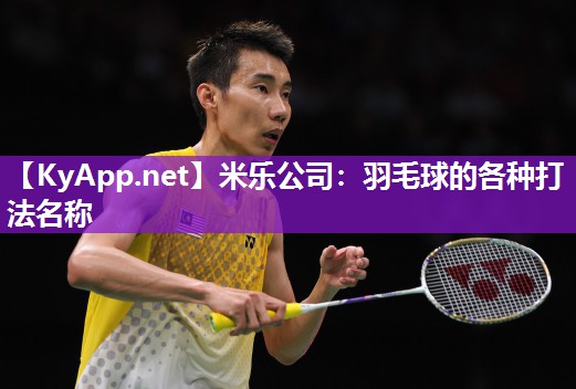 羽毛球的各种打法名称