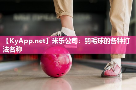羽毛球的各种打法名称