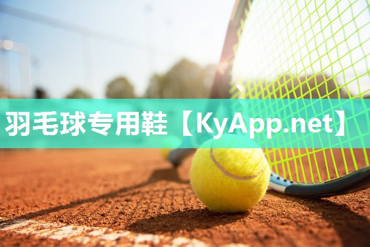 羽毛球专用鞋