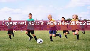 佛雷斯羽毛球拍型号怎么看