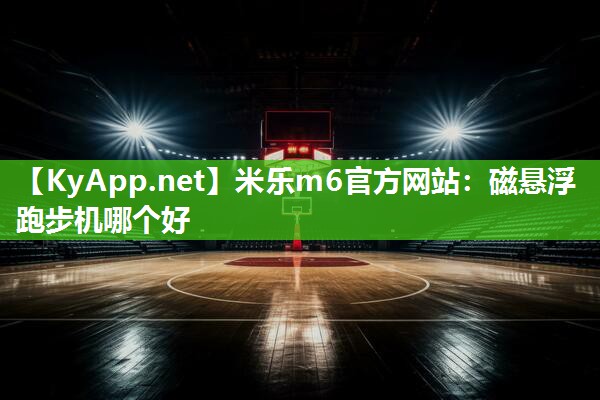 磁悬浮跑步机哪个好