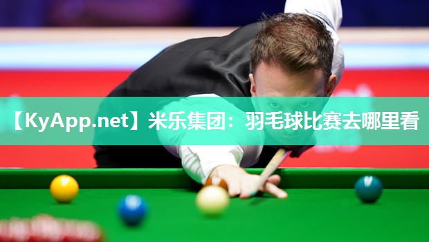 羽毛球比赛去哪里看