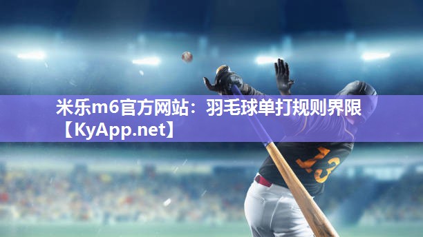 羽毛球单打规则界限