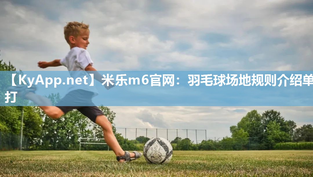 羽毛球场地规则介绍单打