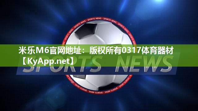 版权所有0317体育器材