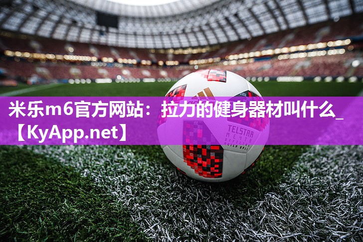 拉力的健身器材叫什么_